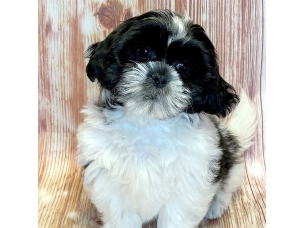 Teddy Bear – 10299